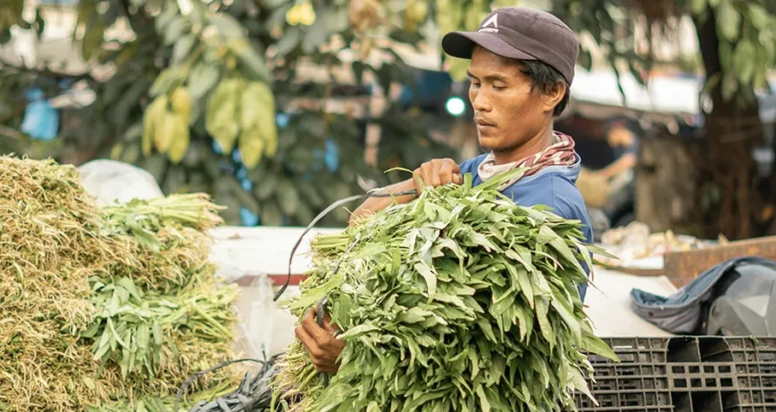 Wendell Berry said it best when he said that “eating is an agricultural act.” Our mission is to change the food system by providing a healthy, fresh alternative to industrial food.