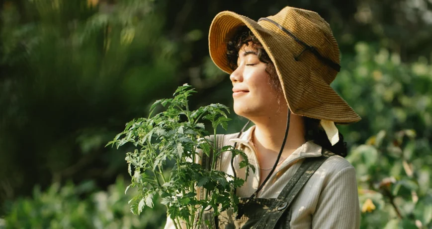 We grow fresh, organic produce using clean methods that protect nature, healthy food.