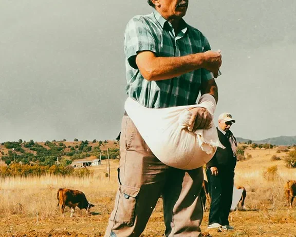 We grow fresh, organic produce using clean methods that protect nature, healthy food.