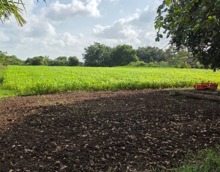 Our Farm