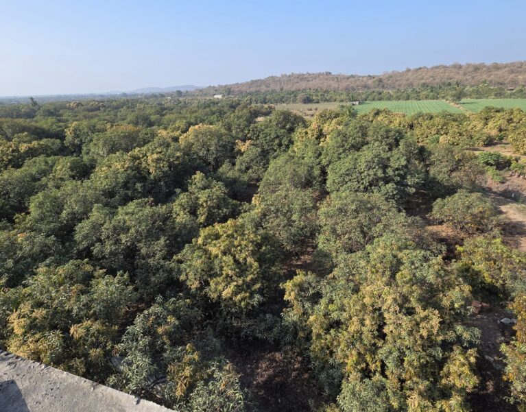 Our Farm