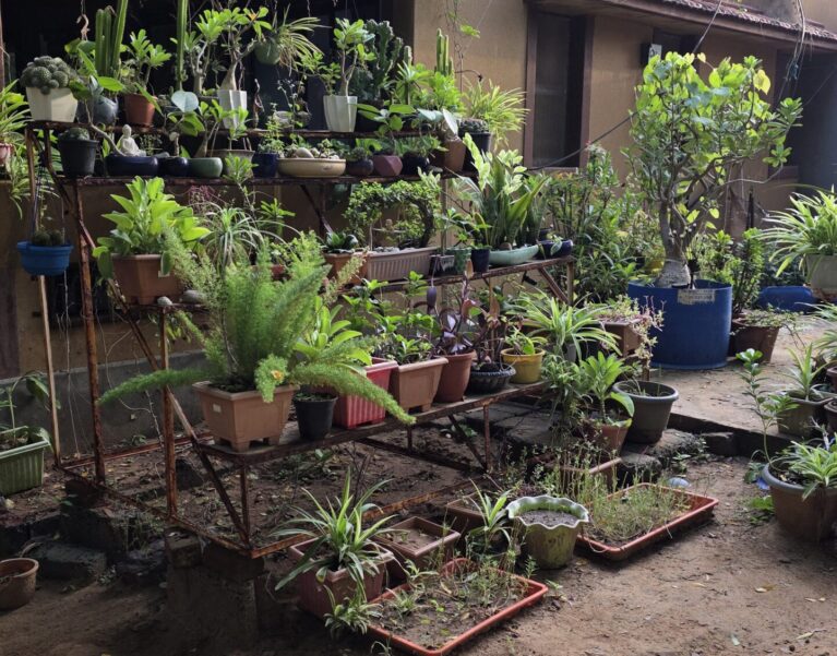 Our Farm
