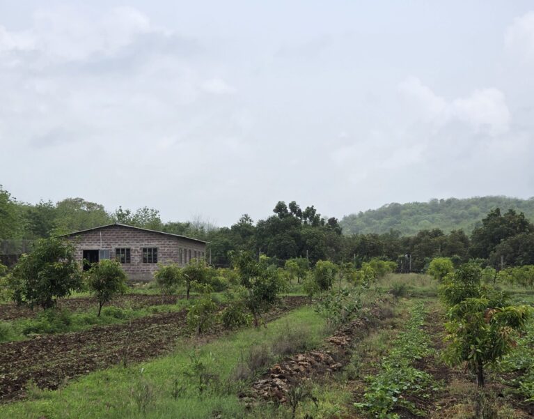 Our Farm